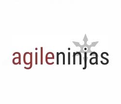 Agile Ninjas